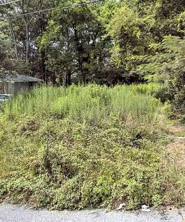 0.23 Acres of Residential Land for Sale in Atlanta, Georgia