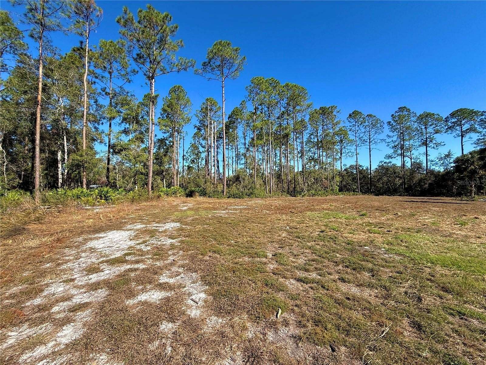 2.27 Acres of Residential Land for Sale in Old Town, Florida