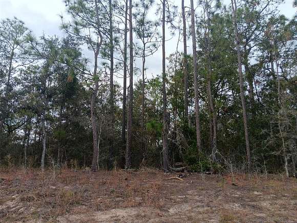 0.46 Acres of Land for Sale in Morriston, Florida