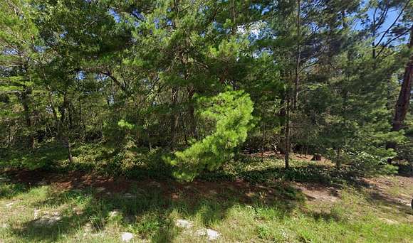 0.55 Acres of Residential Land for Sale in Ocala, Florida