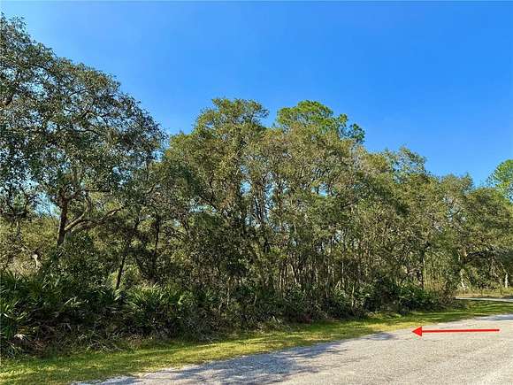 1 Acre of Residential Land for Sale in Eustis, Florida