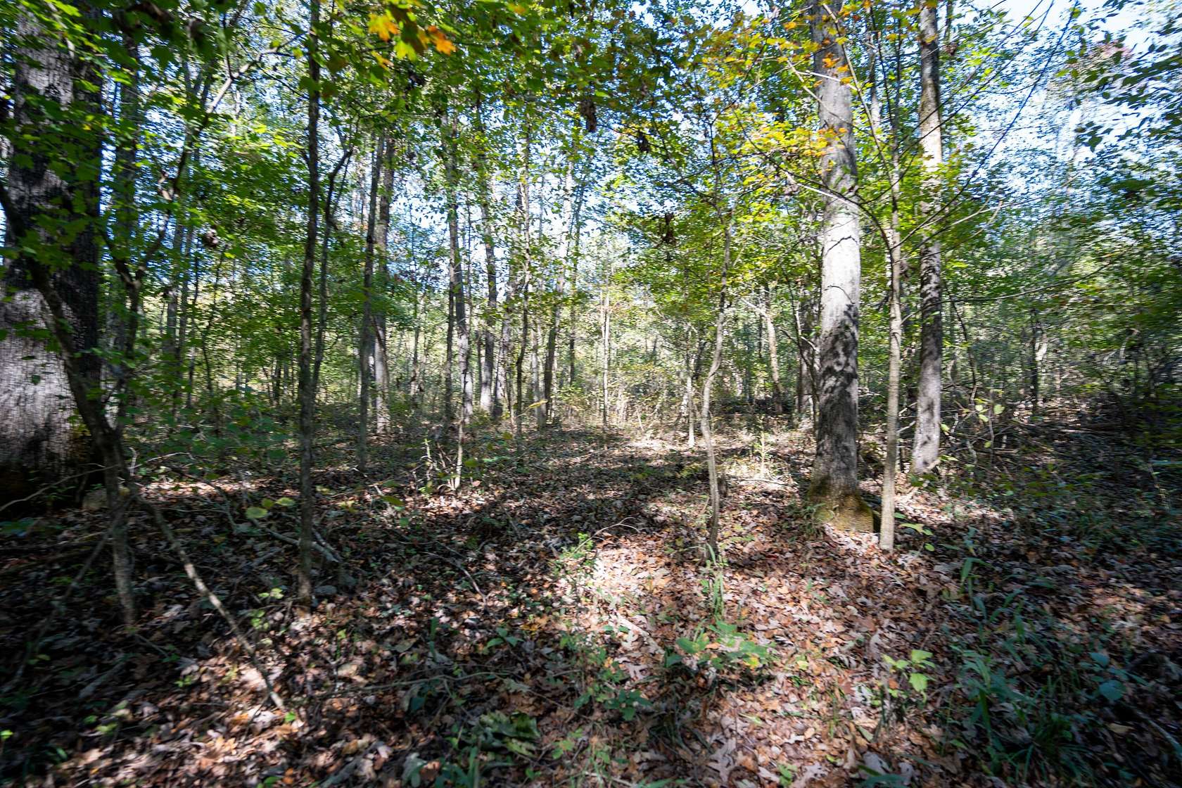 22.76 Acres of Recreational Land for Sale in Rising Fawn, Georgia