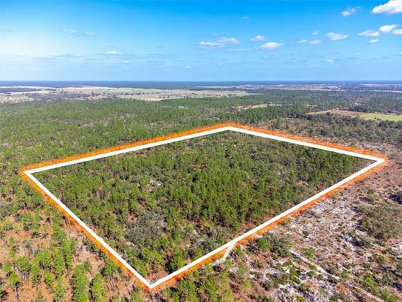 40.31 Acres of Recreational Land for Sale in Williston, Florida