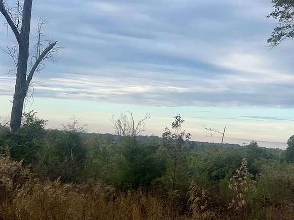 97 Acres of Recreational Land for Sale in Georgetown, Georgia