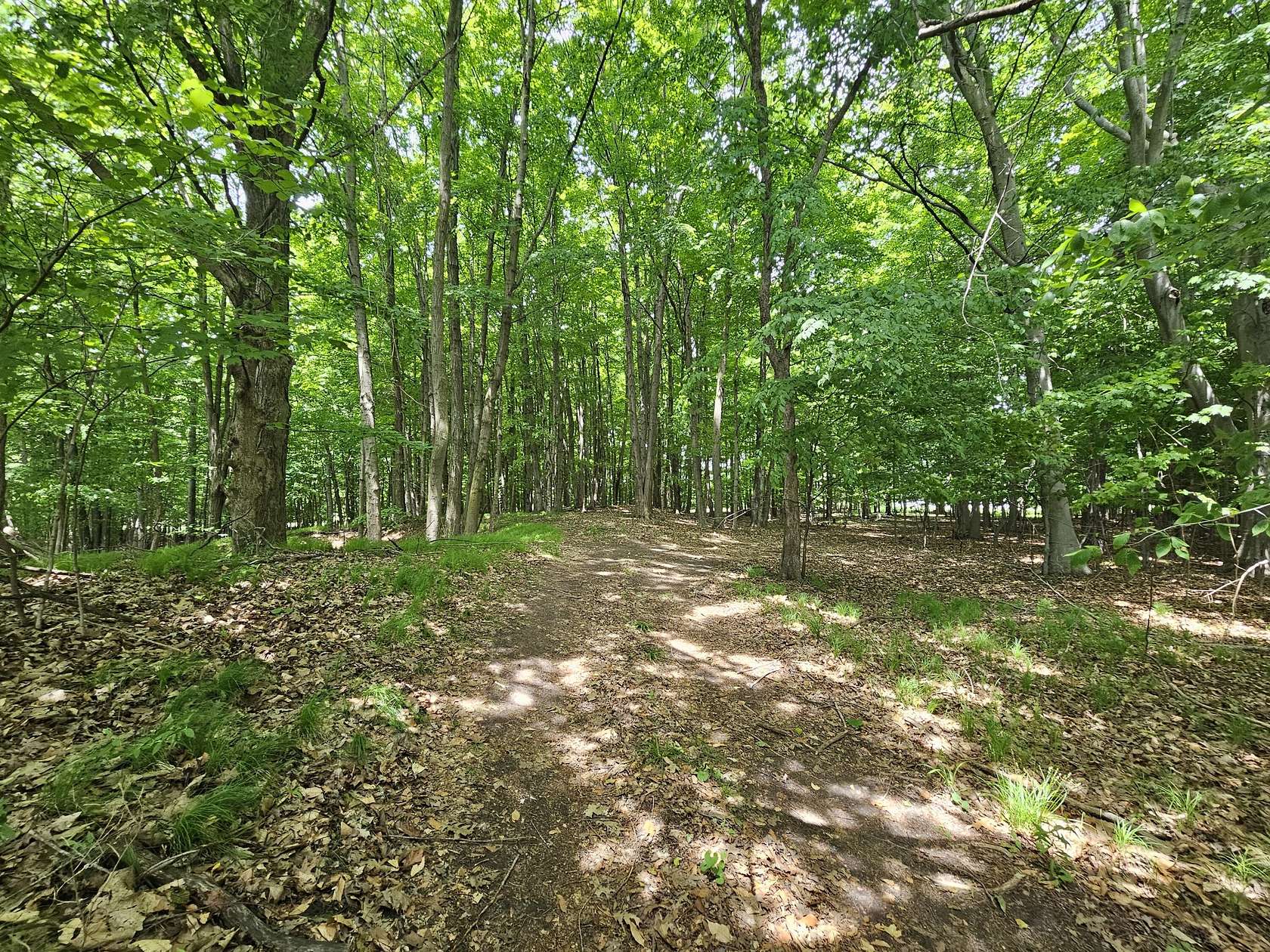 6 Acres of Residential Land for Sale in Six Lakes, Michigan