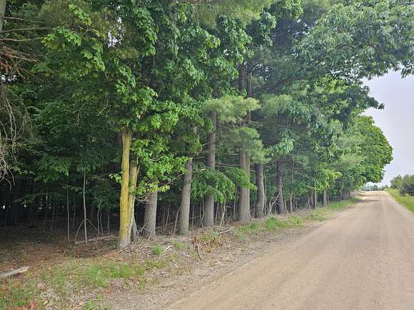 6 Acres of Residential Land for Sale in Six Lakes, Michigan