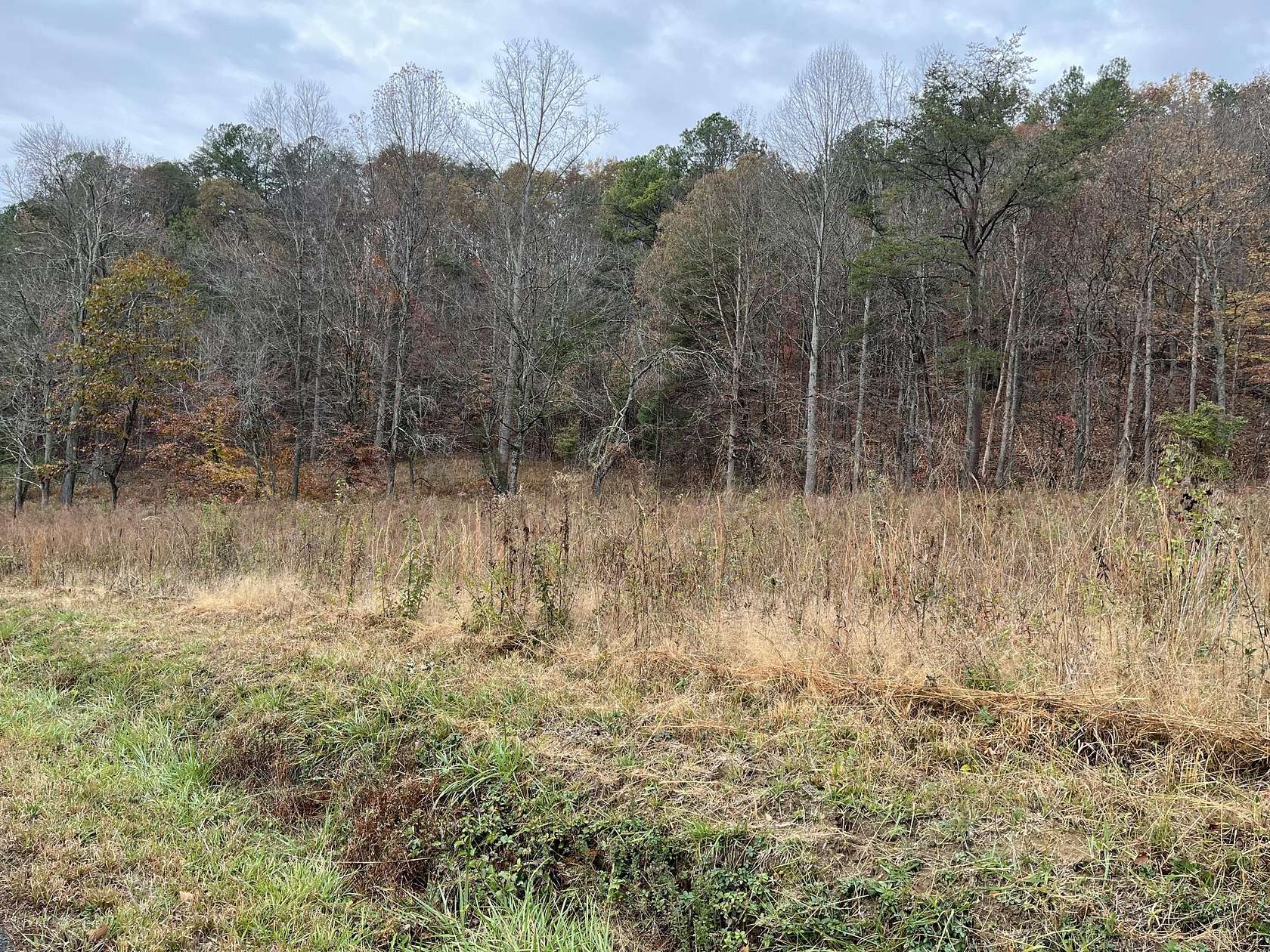 7.45 Acres of Residential Land for Sale in Rutledge, Tennessee