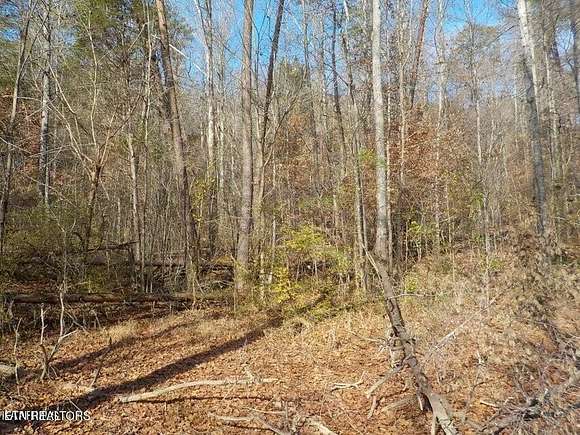 29.57 Acres of Recreational Land for Sale in Blaine, Tennessee