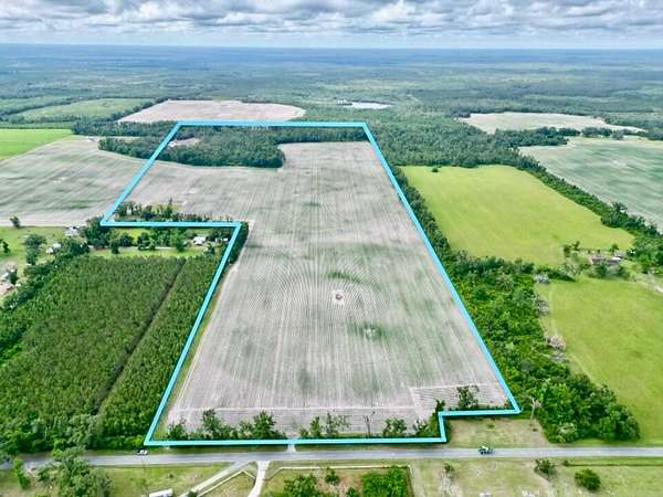 114 Acres of Recreational Land & Farm for Sale in Mayo, Florida