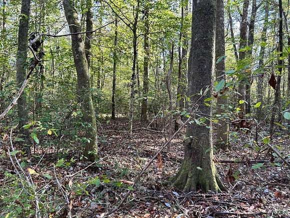 87 Acres of Recreational Land for Sale in Echola, Alabama