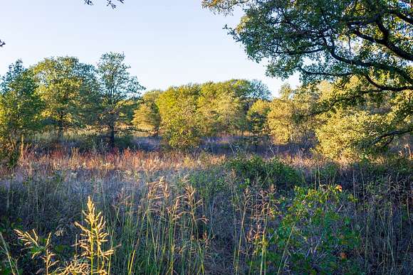 84.34 Acres of Recreational Land with Home for Sale in Jacksboro, Texas