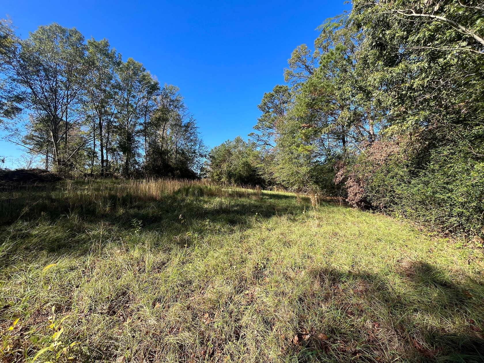 20 Acres of Recreational Land for Sale in Knoxville, Alabama