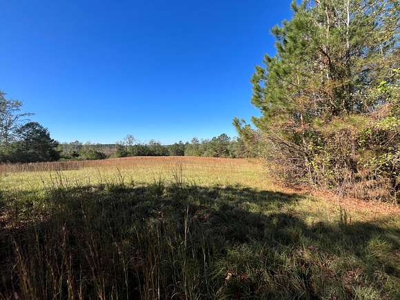 20 Acres of Recreational Land for Sale in Knoxville, Alabama