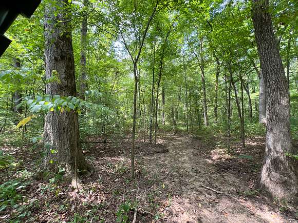 325 Acres of Recreational Land for Sale in Waterloo, Alabama