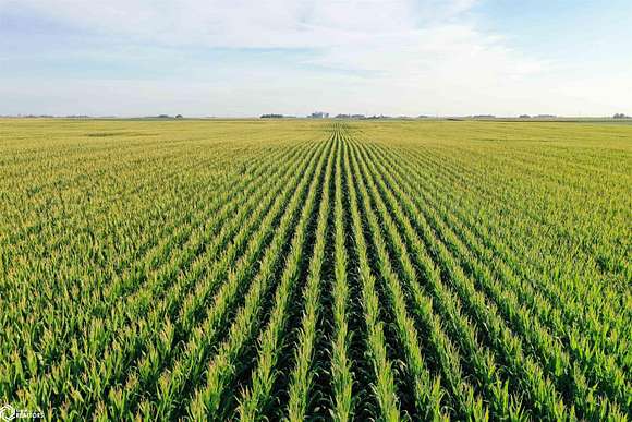 80 Acres of Agricultural Land for Sale in Paton, Iowa