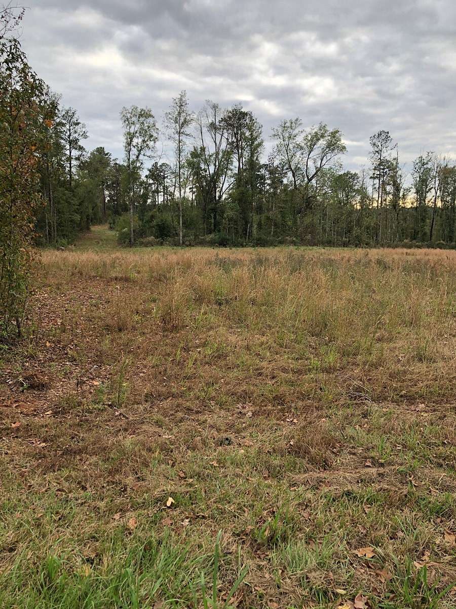 3 Acres of Residential Land for Sale in Greenville, Alabama