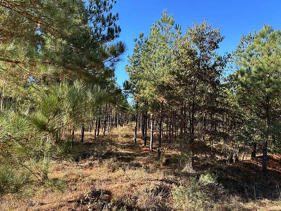 385.56 Acres of Recreational Land & Farm for Sale in Crossett, Arkansas