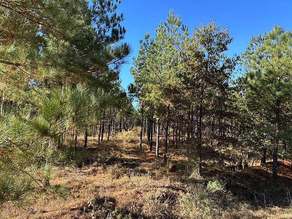 386 Acres of Recreational Land & Farm for Sale in Crossett, Arkansas