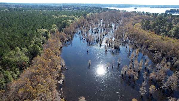 386 Acres of Land for Sale in Crossett, Arkansas