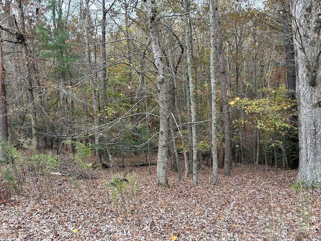 1.5 Acres of Residential Land for Sale in Ellijay, Georgia