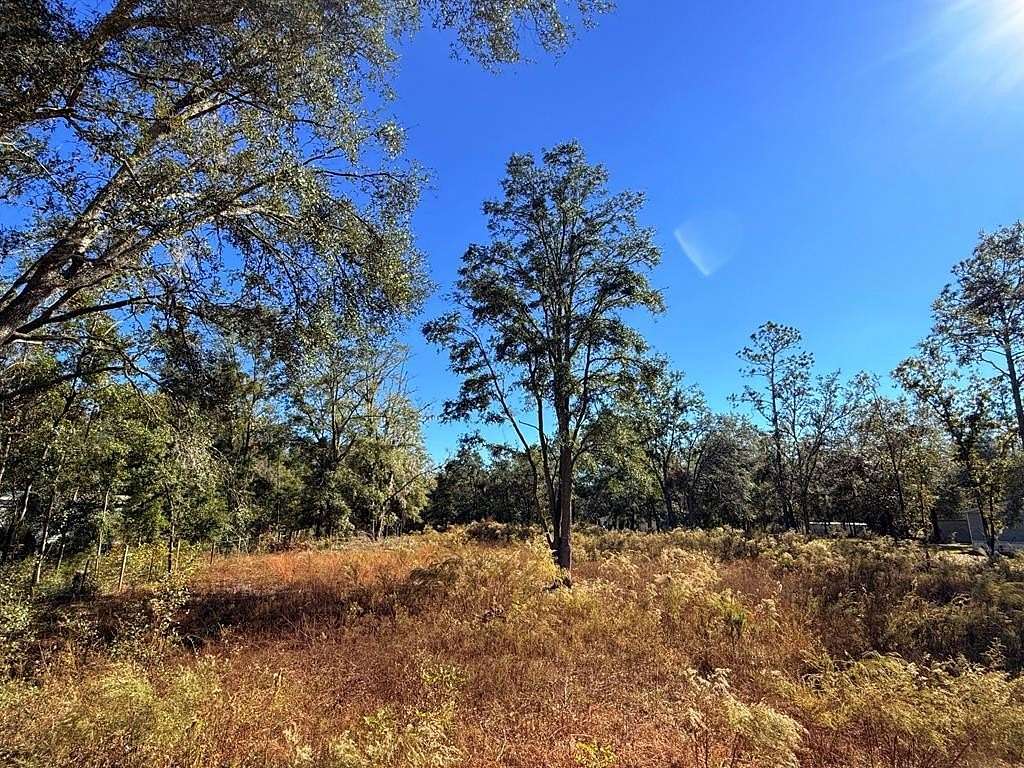 1 Acre of Land for Sale in Bell, Florida