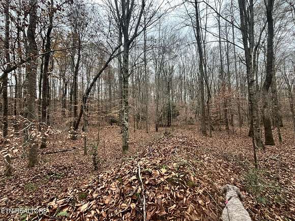 5.36 Acres of Residential Land for Sale in Oneida, Tennessee