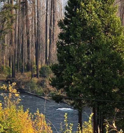 2.09 Acres of Residential Land for Sale in Blue River, Oregon