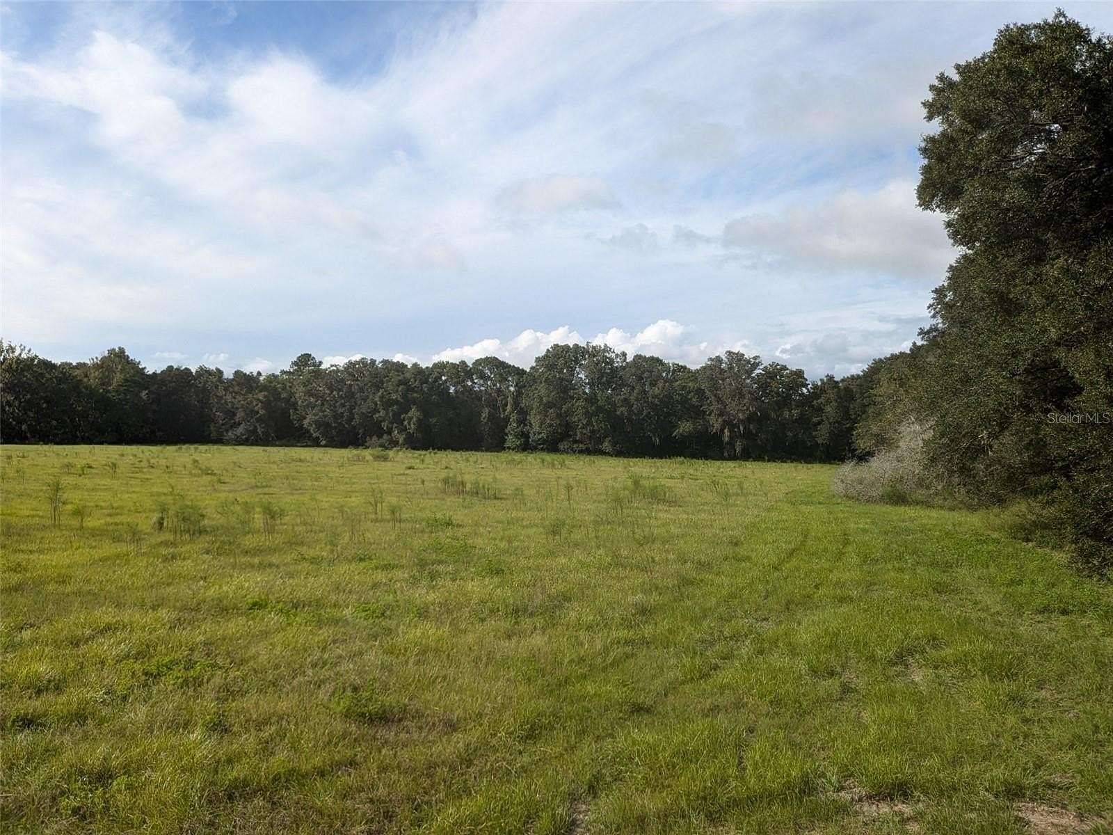 21.01 Acres of Land for Sale in Lake City, Florida