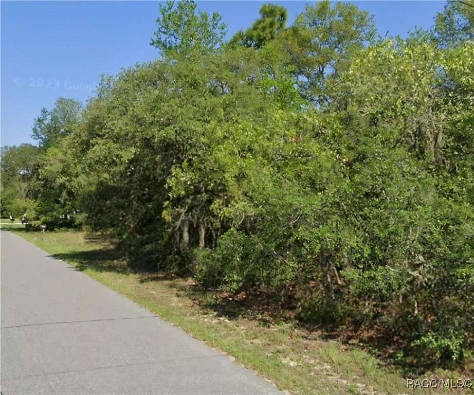 1.42 Acres of Residential Land for Sale in Hernando, Florida