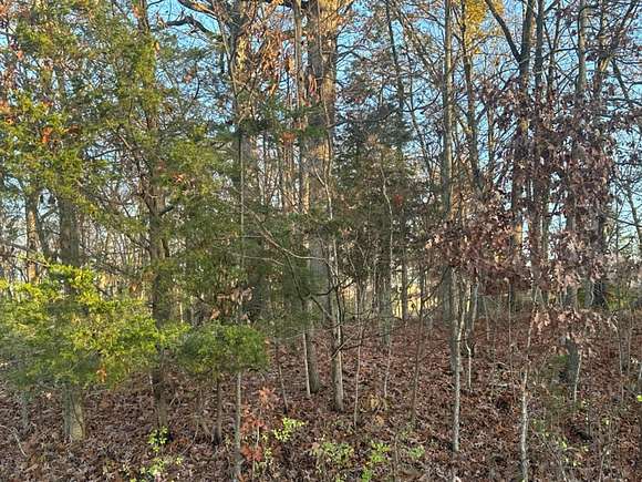 1.03 Acres of Residential Land for Sale in West Harrison, Indiana