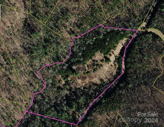 11.72 Acres of Land for Sale in McGrady, North Carolina