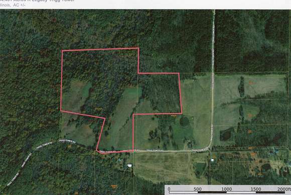 54.45 Acres of Recreational Land for Sale in Simpson, Illinois