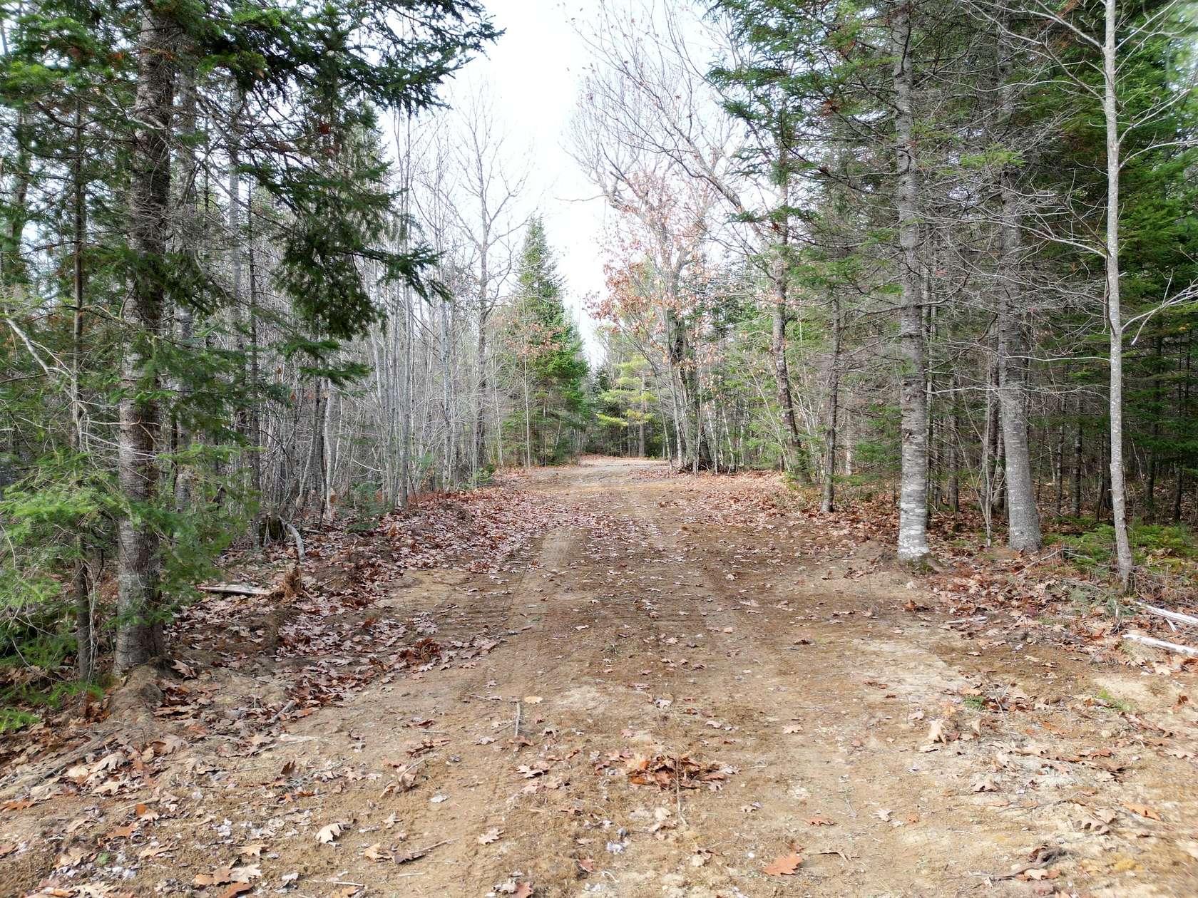 4.6 Acres of Land for Sale in Greenbush, Maine