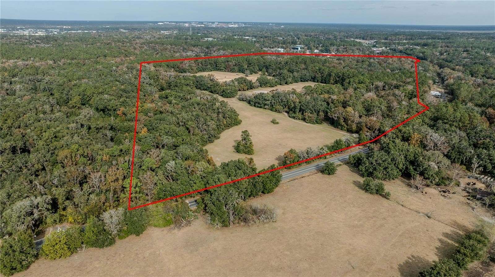 85 Acres of Land for Sale in Gainesville, Florida