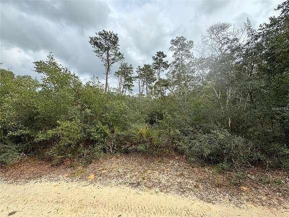 0.21 Acres of Residential Land for Sale in Fort McCoy, Florida