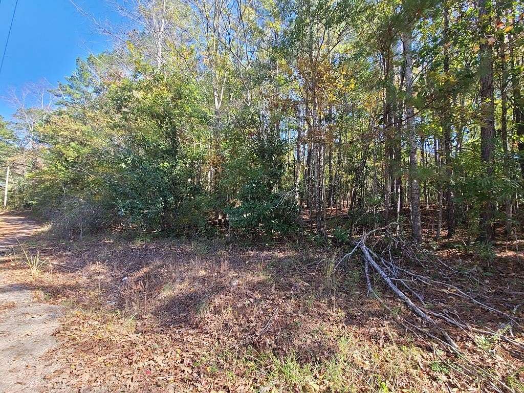 0.11 Acres of Residential Land for Sale in Waverly Hall, Georgia