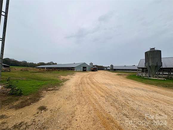 59.2 Acres of Agricultural Land for Sale in Jefferson, South Carolina