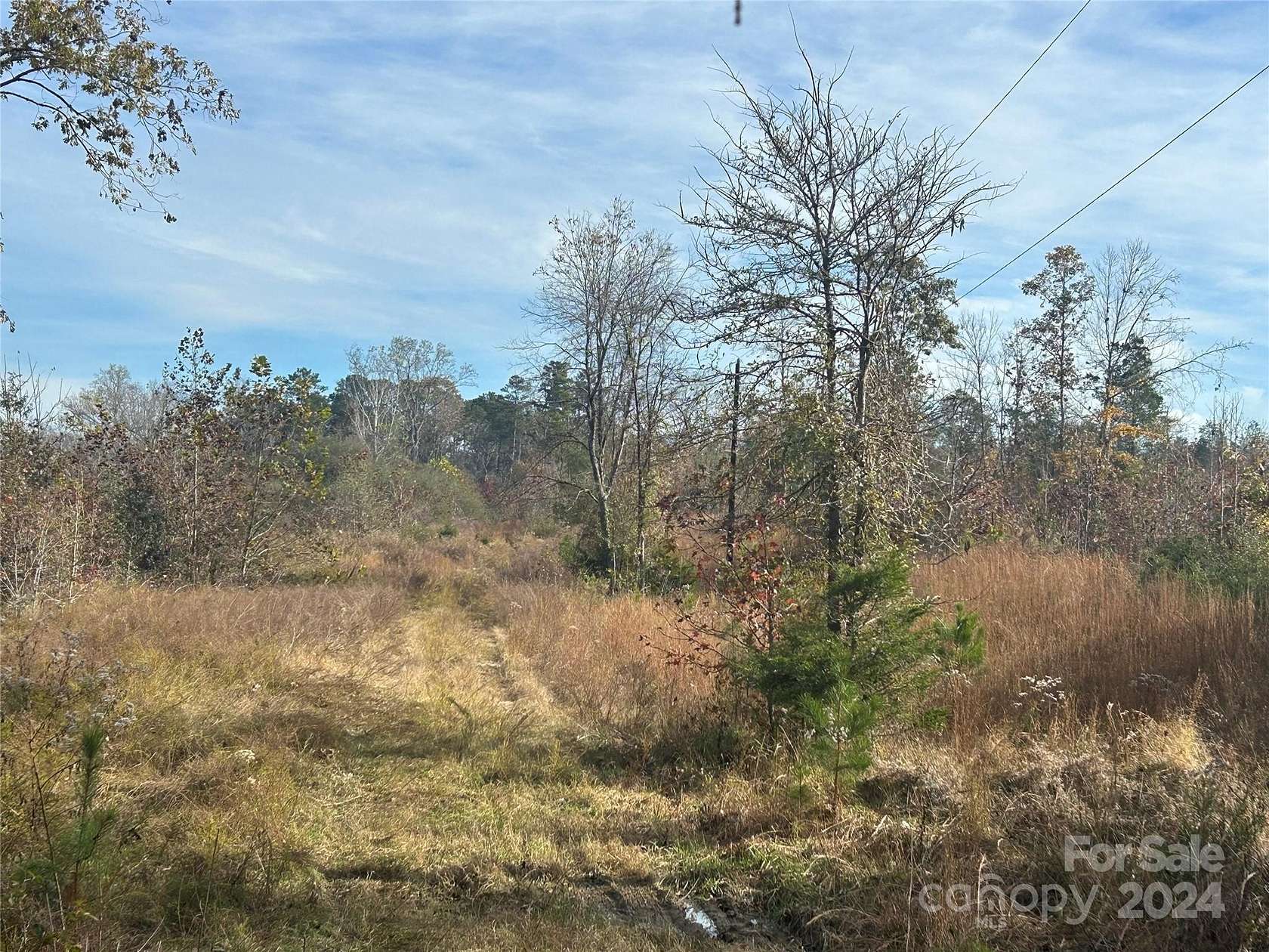 14 Acres of Land for Sale in Chester, South Carolina