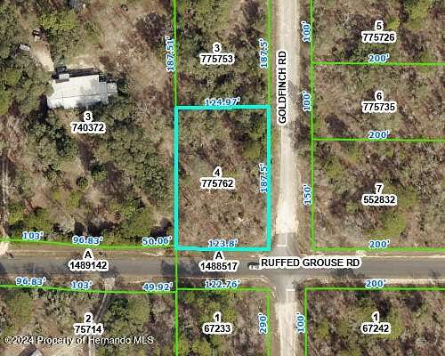 0.54 Acres of Residential Land for Sale in Weeki Wachee, Florida