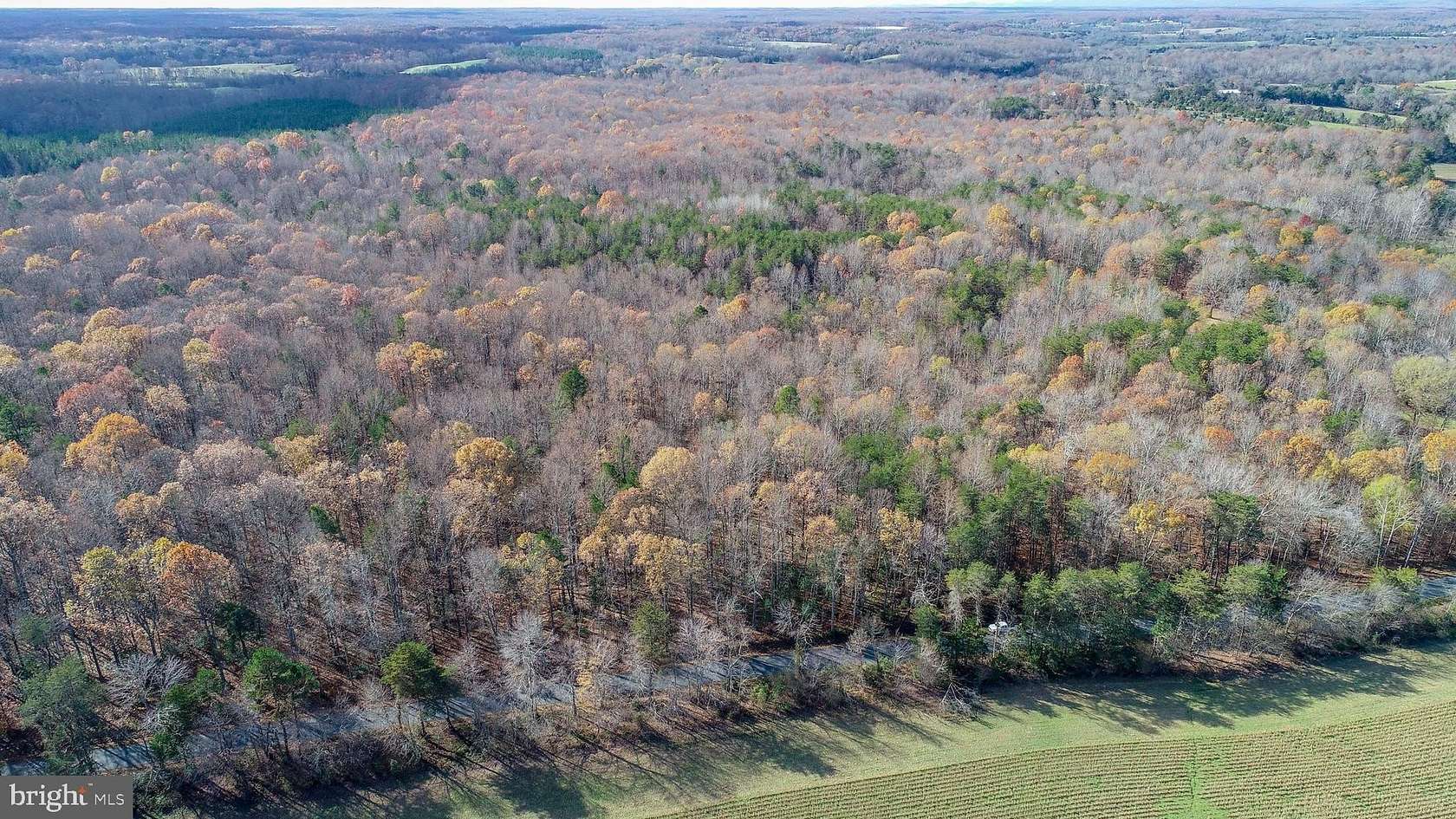 39.36 Acres of Land for Sale in Orange, Virginia