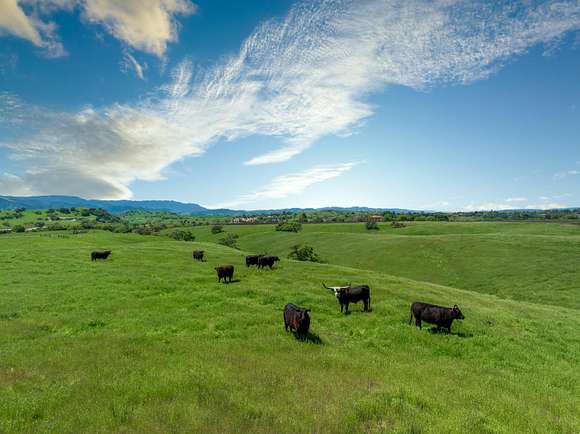 105.42 Acres of Agricultural Land for Sale in Santa Ynez, California