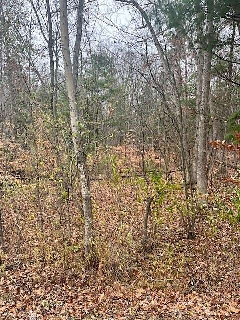 10 Acres of Land for Sale in Gowen, Michigan