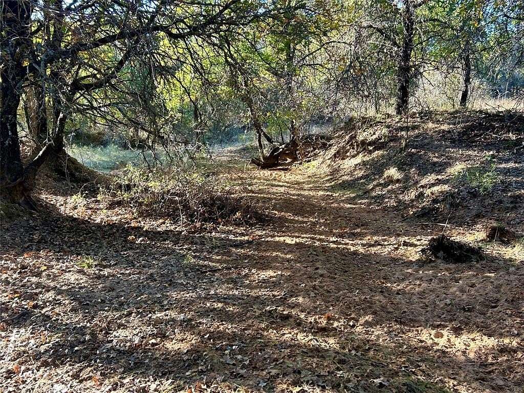 40 Acres of Land for Sale in Gorman, Texas