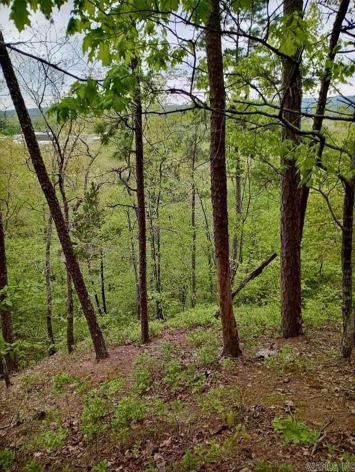 28.14 Acres of Recreational Land for Sale in Caddo Gap, Arkansas