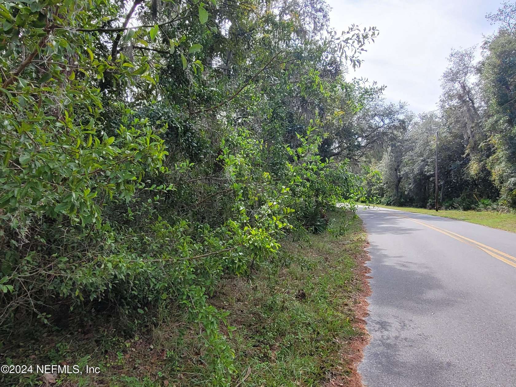 4.47 Acres of Residential Land for Sale in Crescent City, Florida