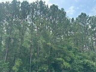 27.51 Acres of Recreational Land for Sale in Quitman, Mississippi