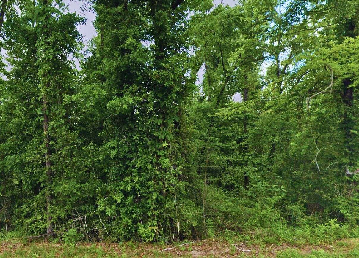 5.34 Acres of Residential Land for Sale in Chipley, Florida