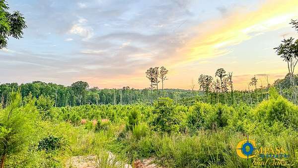 183 Acres of Recreational Land for Sale in Hornsby, Tennessee