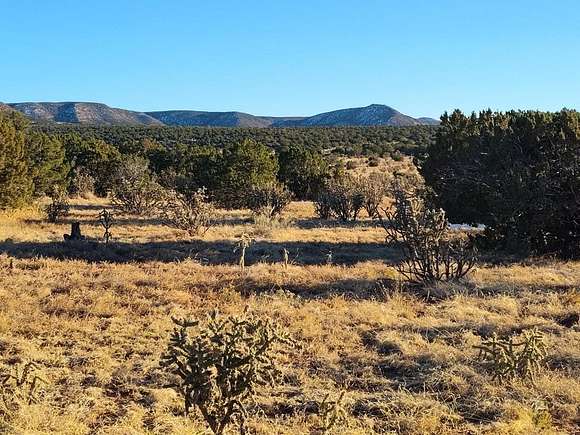 198.52 Acres of Land for Sale in Mountainair, New Mexico