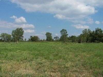 23 Acres of Agricultural Land for Sale in Nevada, Missouri